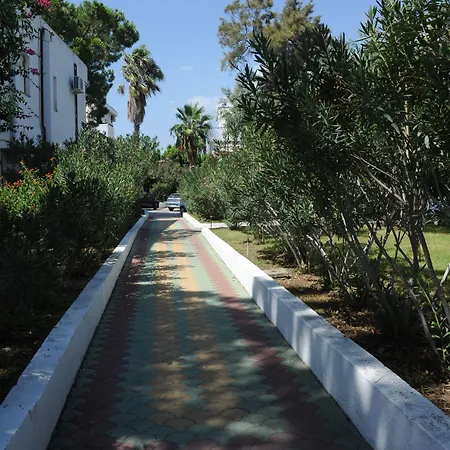 La Fenice * Sellia Marina