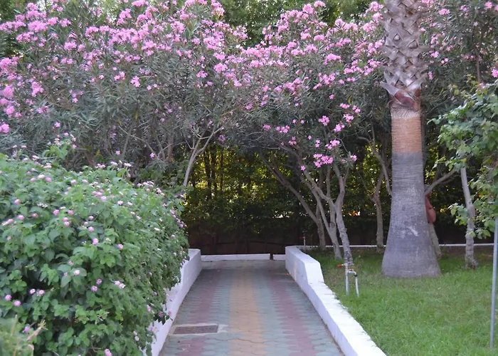 La Fenice Parco vacanze Sellia Marina